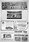 Antique Old Print 1916 Ice Carnival Drury Lane Theatre Kellogg Cyders Beecham