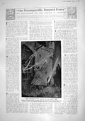 Old 1916 Good Samaritans France Singing Marseillaise Battering Bastil 20th