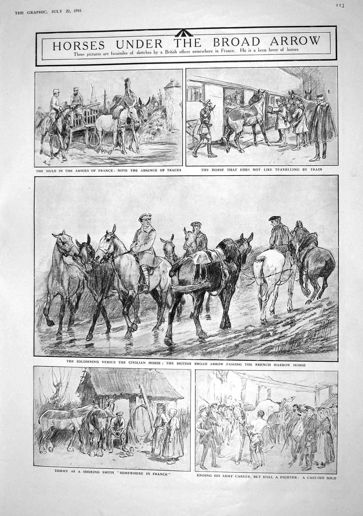 Old 1916 War Horses France British Broad Arrow Blacksmith German Subm 20th