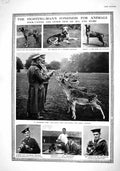 Old 1916 Richmond Park Deer Pigeons War Animals Monti Dog British Siers 20th