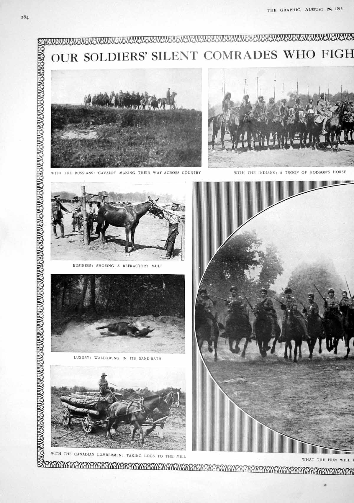 Old Print 1916 War Siers Indians Russiand Horses Cavalry Camp Hospital L 20th