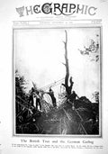 Old 1916 War British Tree German Gasbag Map Somme King Horses Aldersh 20th