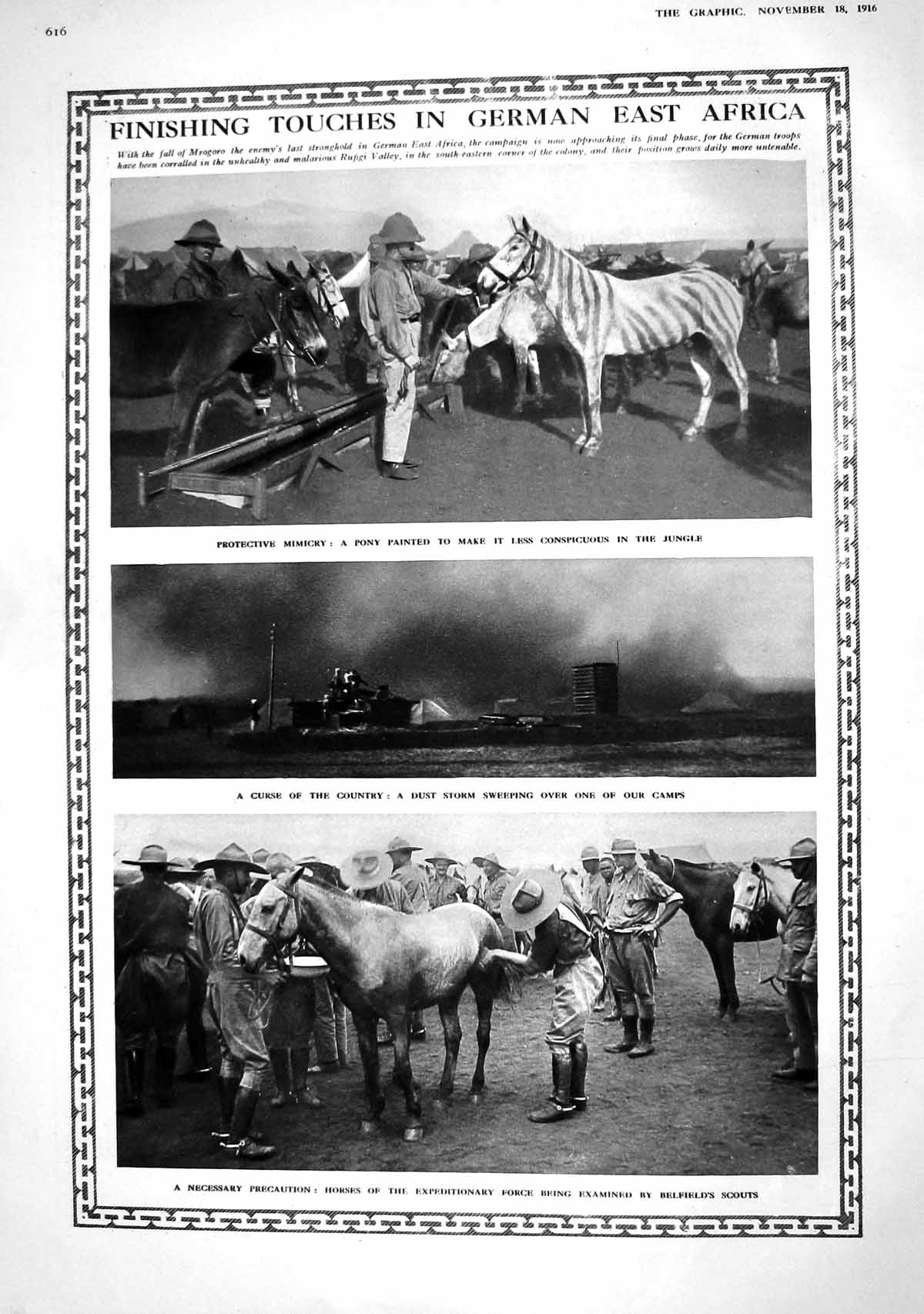 Old 1916 Africa Painted Pony War Dust Storm Belfield Scouts French Pr 20th