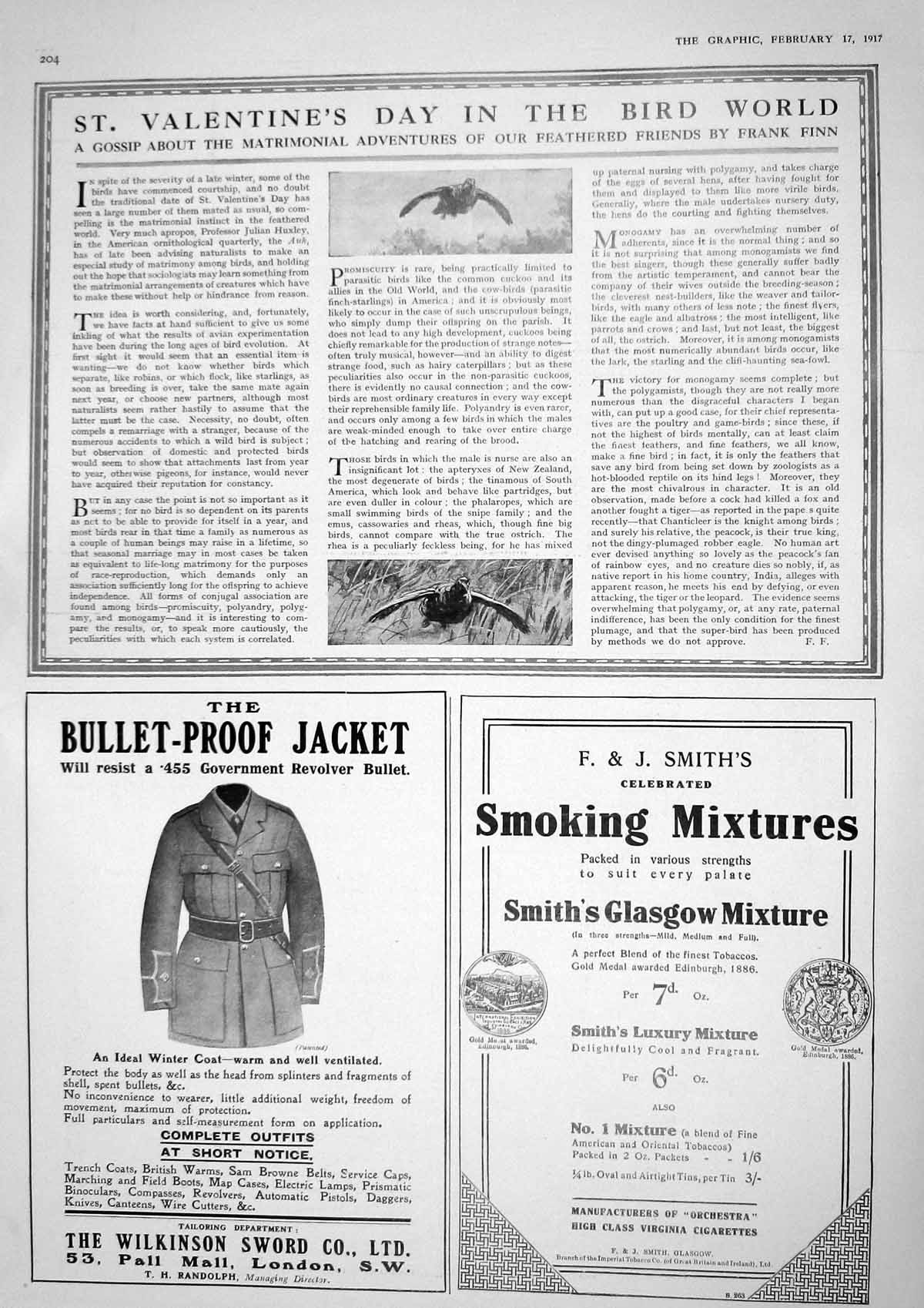 Original Old Vintage Print 1917 Auk Bird Bullet-ProJacket Smith'S Cigarettes