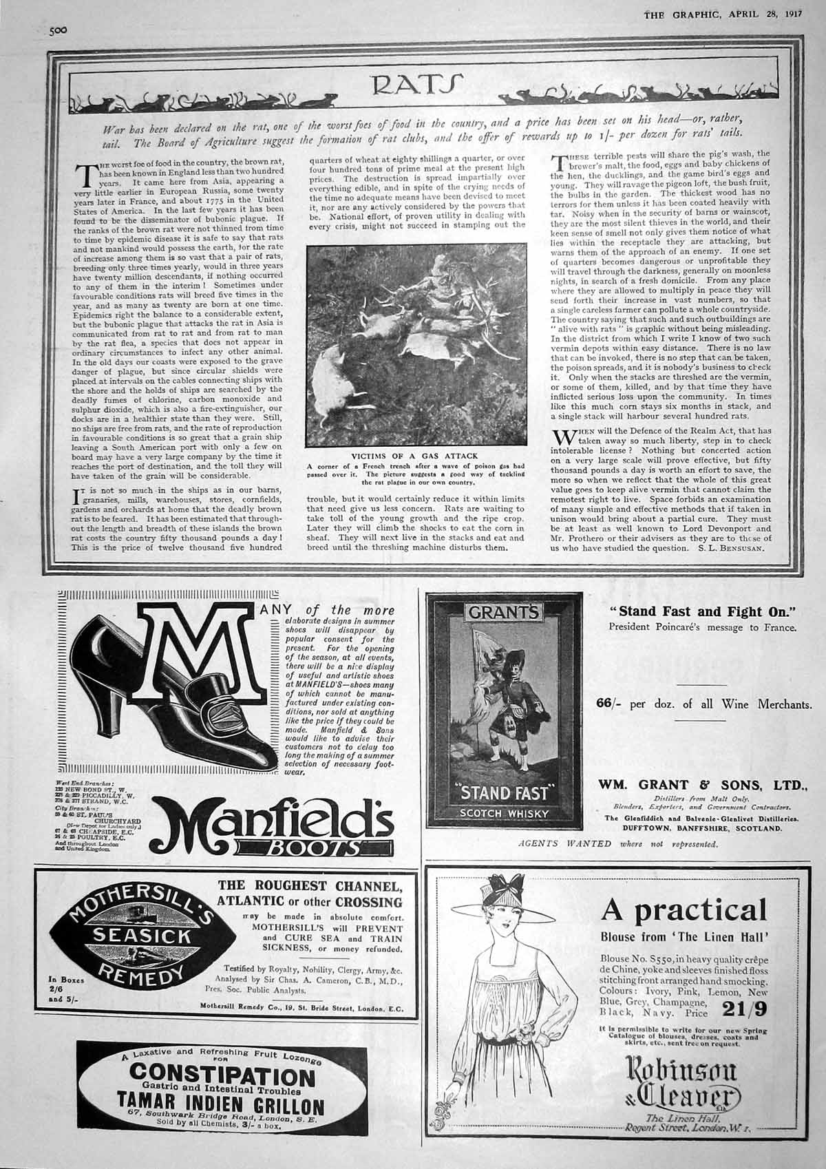 Original Old Vintage Print 1917 Poison Gas Dead Rats France Manfield Boots 20th