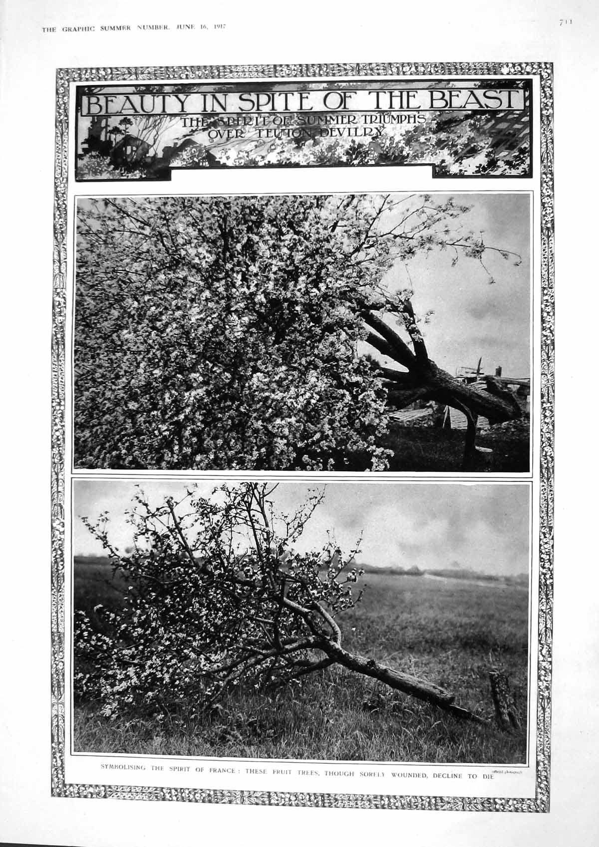Old Vintage Print 1917 France Fruit Trees Mayflower Ship Mortimer Photo 20th