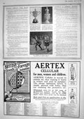 Old 1917 Silver Guilt Trophy Ewer R.F.A. Sports Luton Aertex Clothing 20th