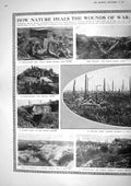 Old Print 1917 War Contalmaison Indian Siers Boisselle Delville Wood Lon 20th