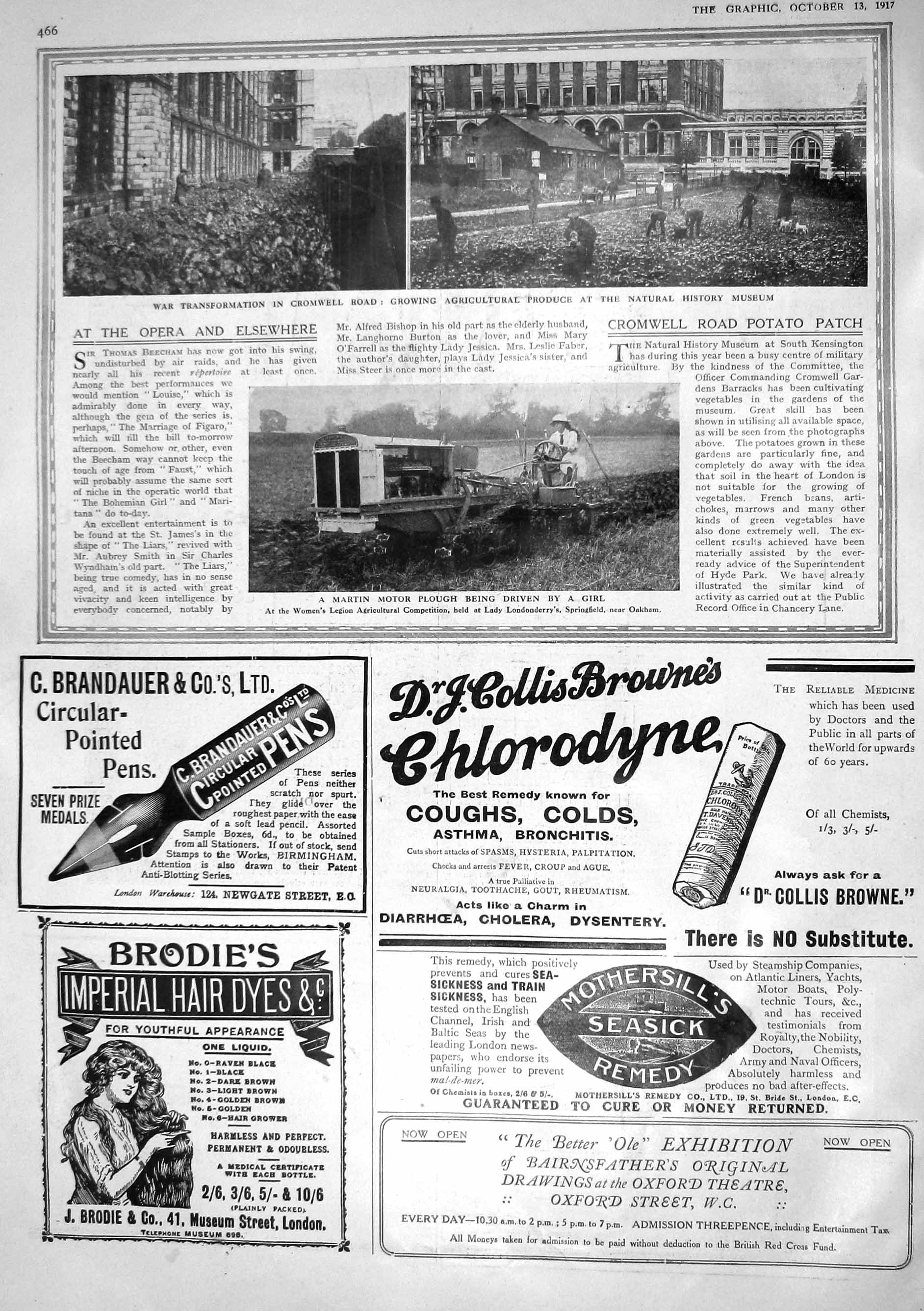 Old 1917 Cromwell Agriculture Natural History Museum Martin Motor Plo 20th