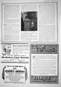 Antique Old Print 1917 Pillar Box Bird'S Custard Ammonia Records War Bonds 20th