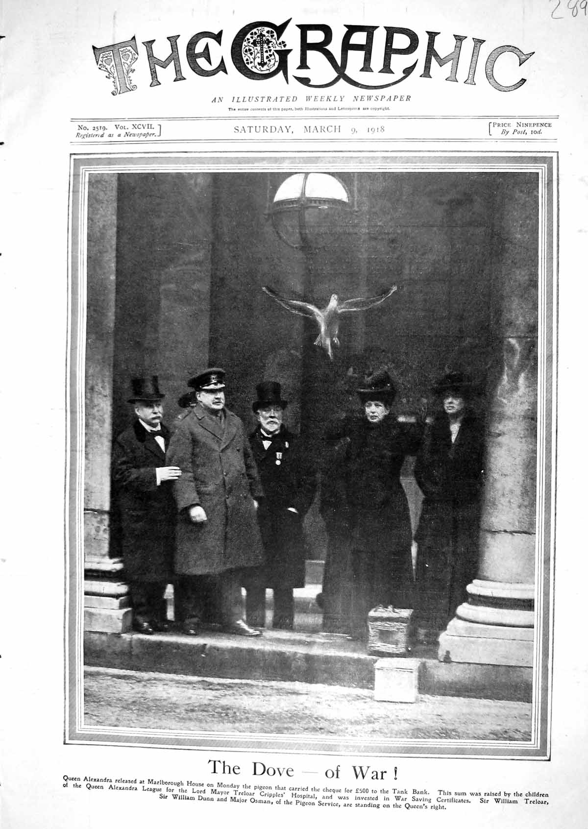 Old 1918 Queen Alexandra Pigeon Marlborough Treloar Dunn Osman Prince 20th