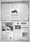 Antique Old Print 1918 Dubarry Glyntos Dental Cream Tamborina Dickins Jones
