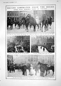Old 1918 King Albert War Bruges Boche Athlone Keyes Queen Ostend Cath 20th