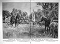 Old 1920 Sculptor John Knox Reid Sackville Munro Gladstone Horses Arc 20th