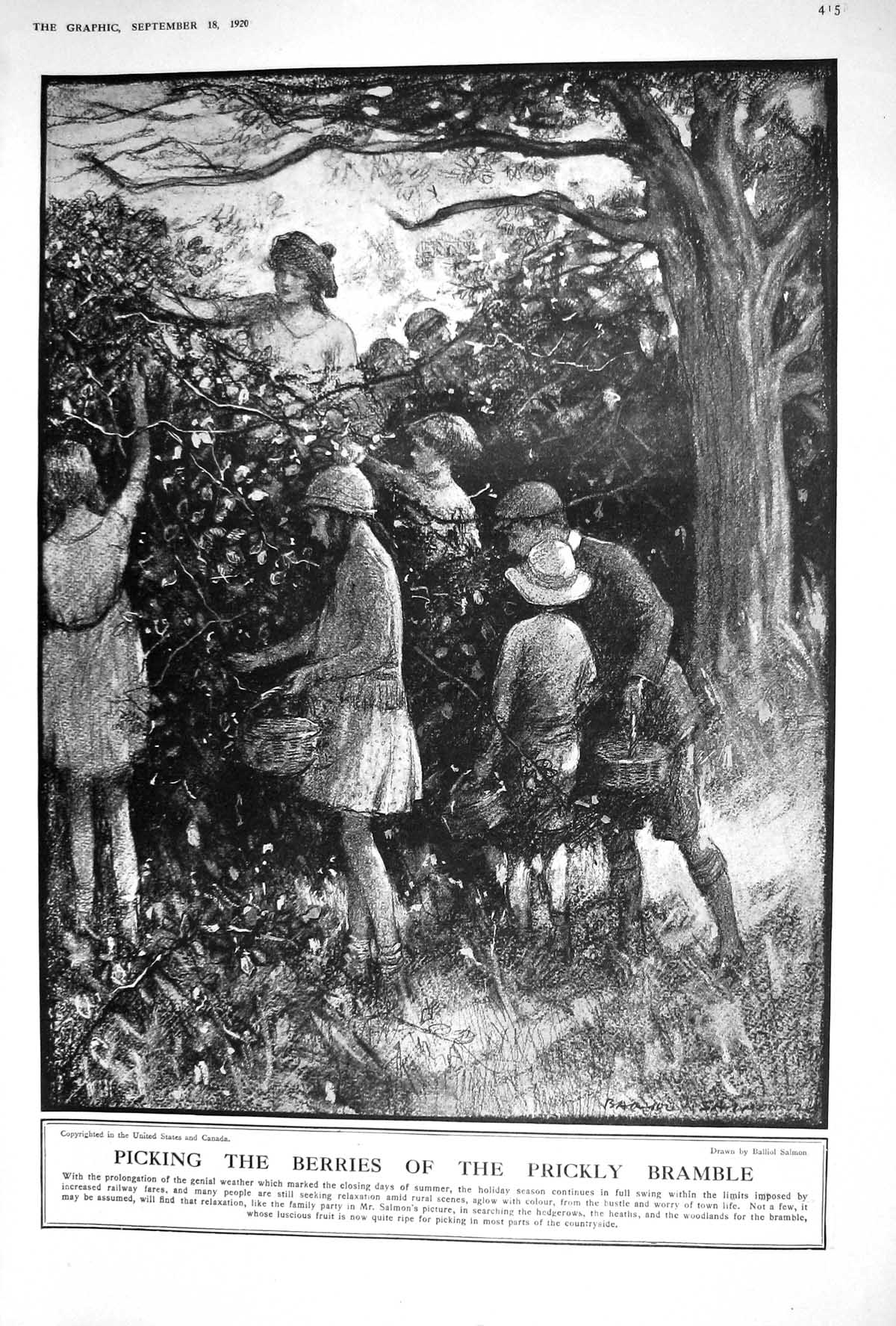 Old 1920 Children Picking Berries Prickly Bramble Beach Museum Aquari 20th