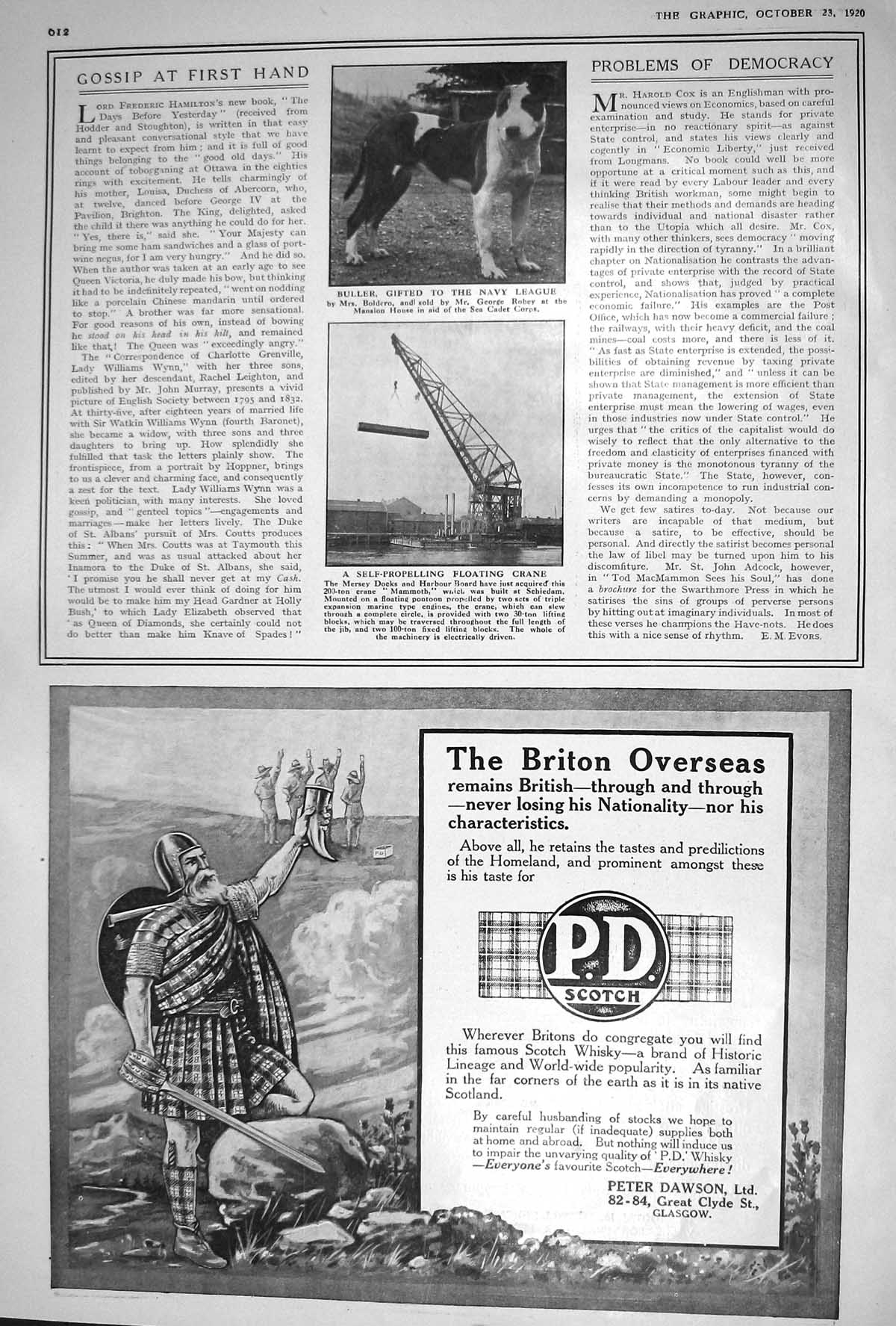 Old Print 1920 Buller Navy Dog Bero Dawson Scotch Whisky Tootal Broadhur 20th