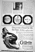 Old 1920 Botanic Garden Flowers Plants Microscope Gillette Safety Raz 20th