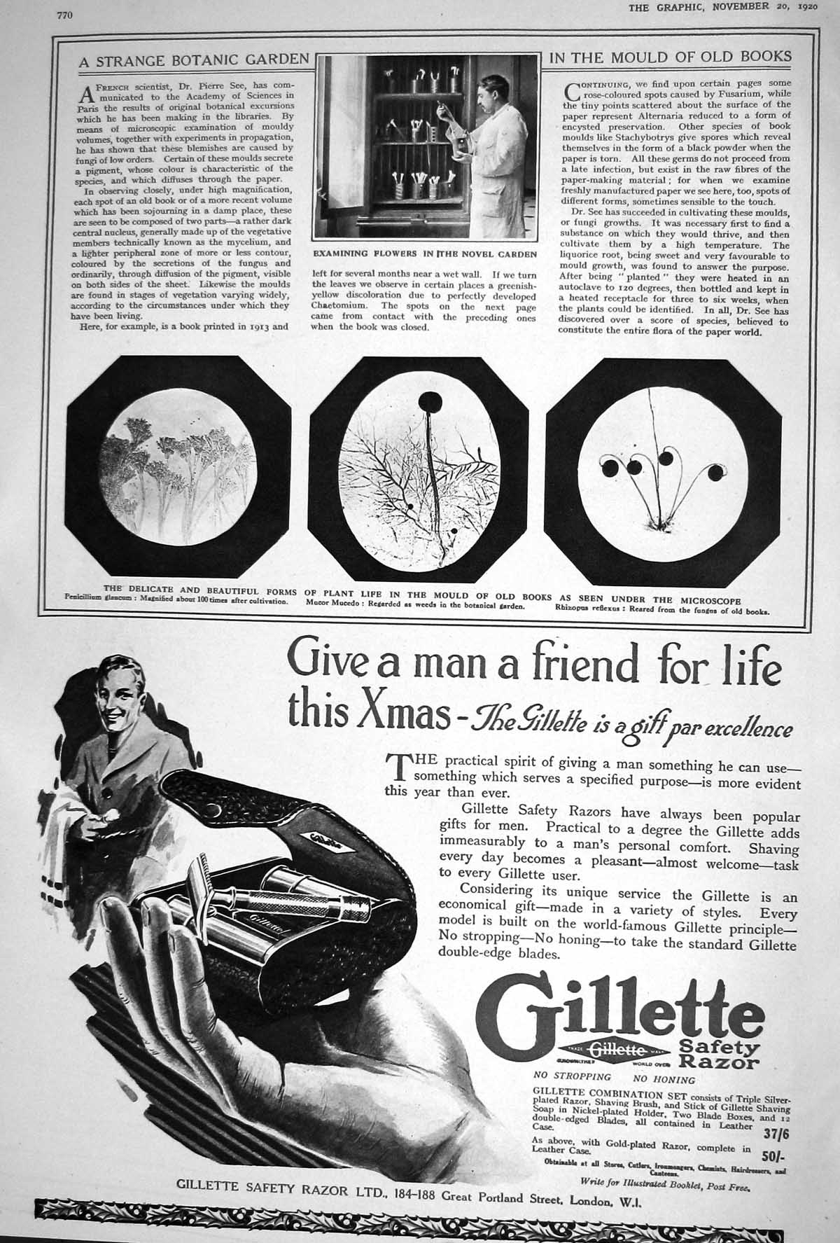 Old 1920 Botanic Garden Flowers Plants Microscope Gillette Safety Raz 20th