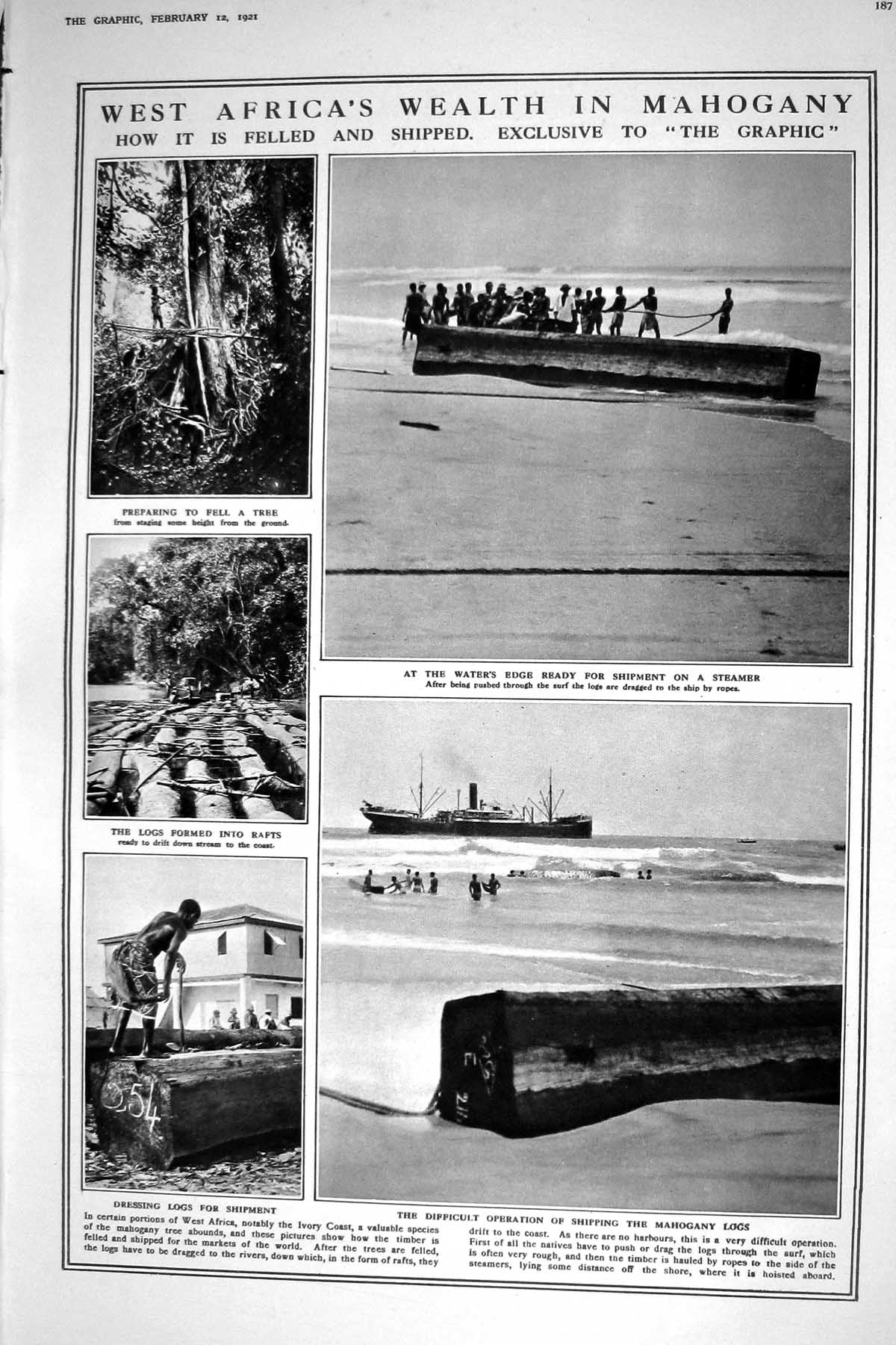 Old 1921 Africa Mahogany Logs Shipping Rafts Lobby House Commons Robi 20th