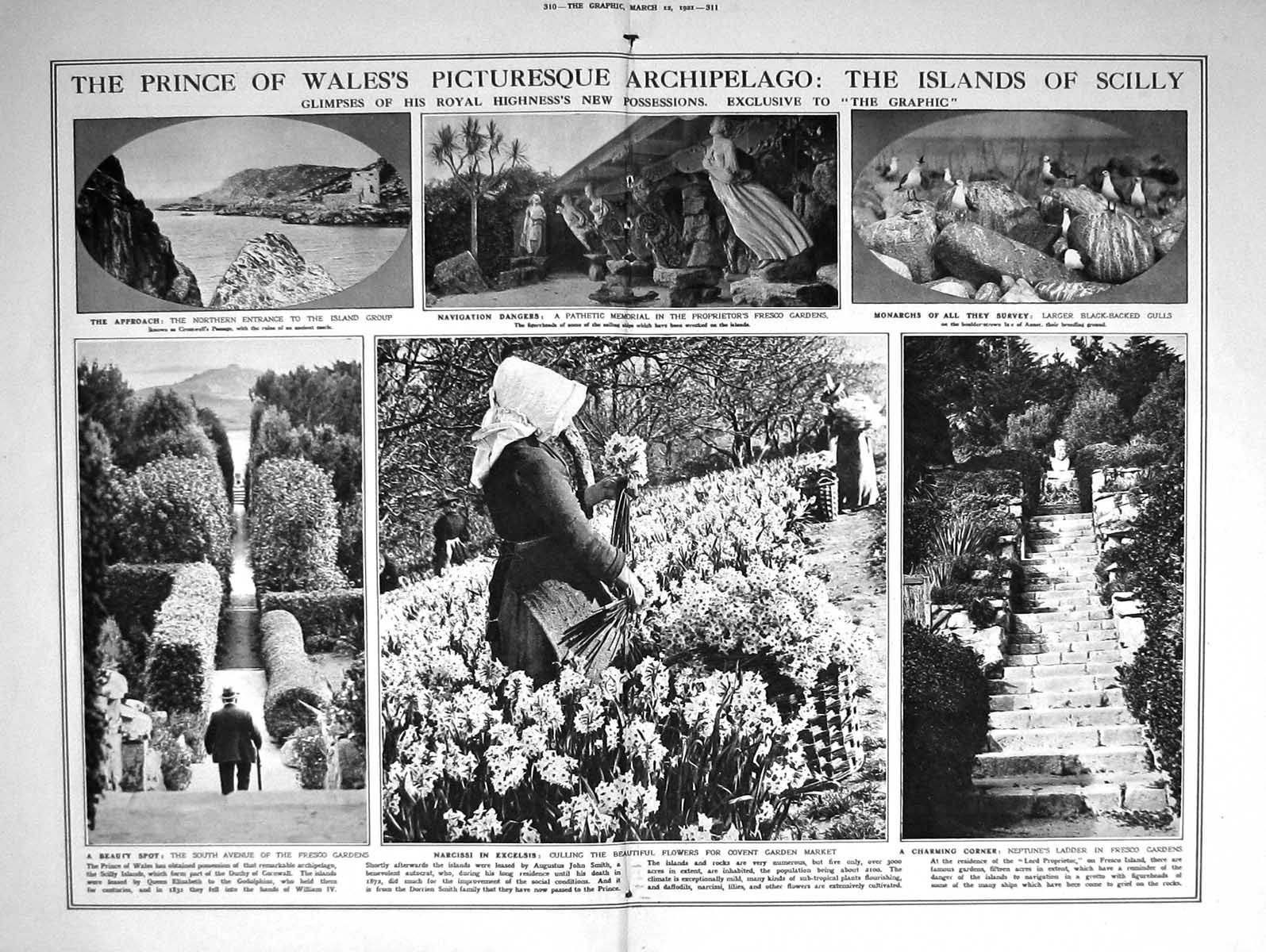 Old 1921 Biskra Patrol Algeria Prince Wales Archipelago Scilly Neptun 20th