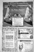 Old Print 1921 Hall'S Distemper Sundour Fabrics Vichy Etat Carters Chairs 20th