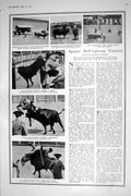Old 1921 Spain Bull Fighting Festival Seville Bull-Fighter Italy Flor 20th