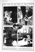 Old 1922 Summer Silvern Brooks River Stream Ladies Bathing Costume La 20th