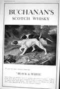 Old 1922 Advertisement James Buchanan Scotch Whisky Hunting Hounds Do 20th