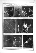 Old 1922 Spider Webb Eggs Beetle Insects Culbin Sands Moray Firth Sco 20th