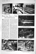 Old 1922 Trout Fish Farm Chorley Fry Ponds Ova Alexander Teixera Matt 20th
