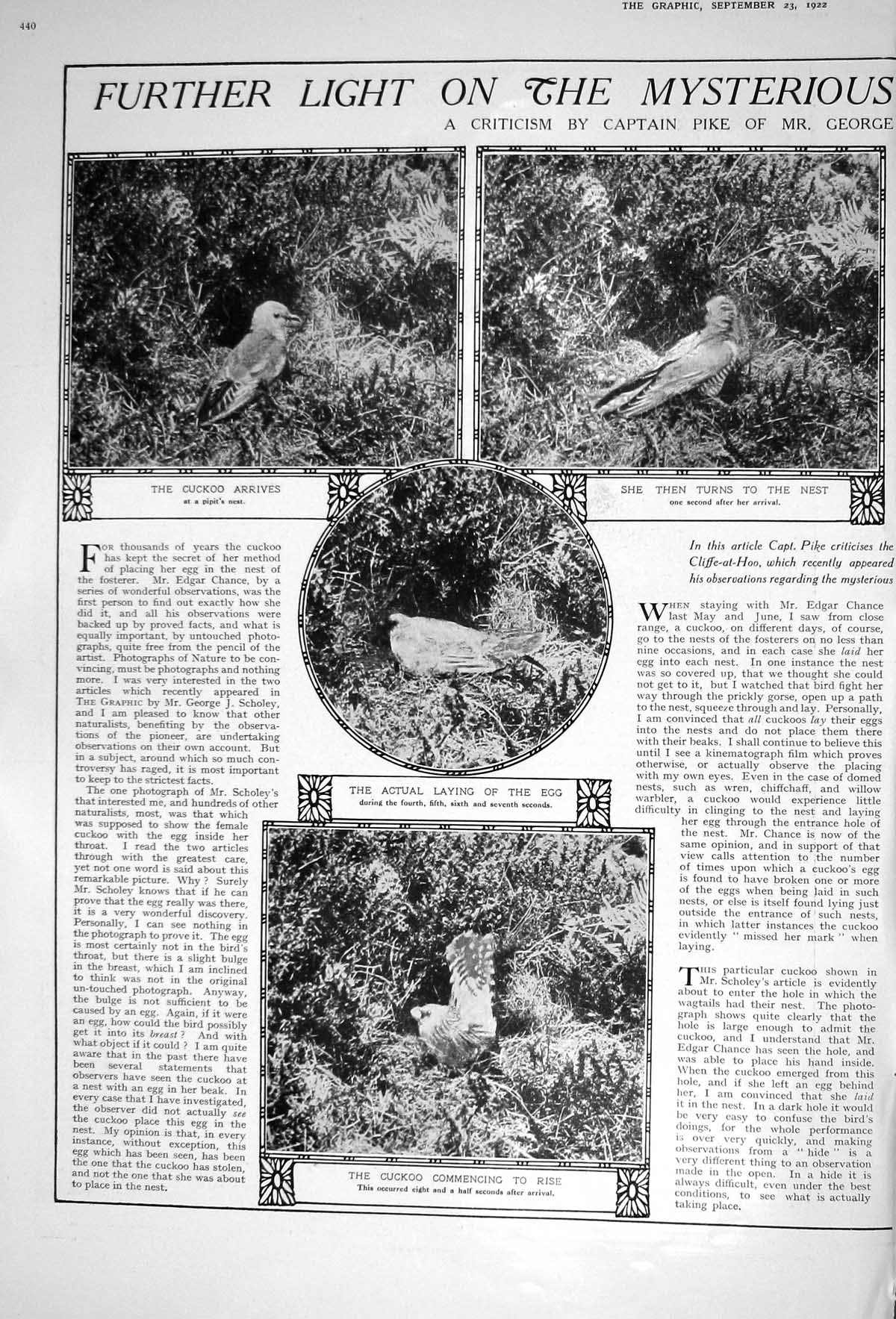 Old 1922 Cuckoo Egg Pipit'S Eggs George Scholey Captain Pike Photogra 20th