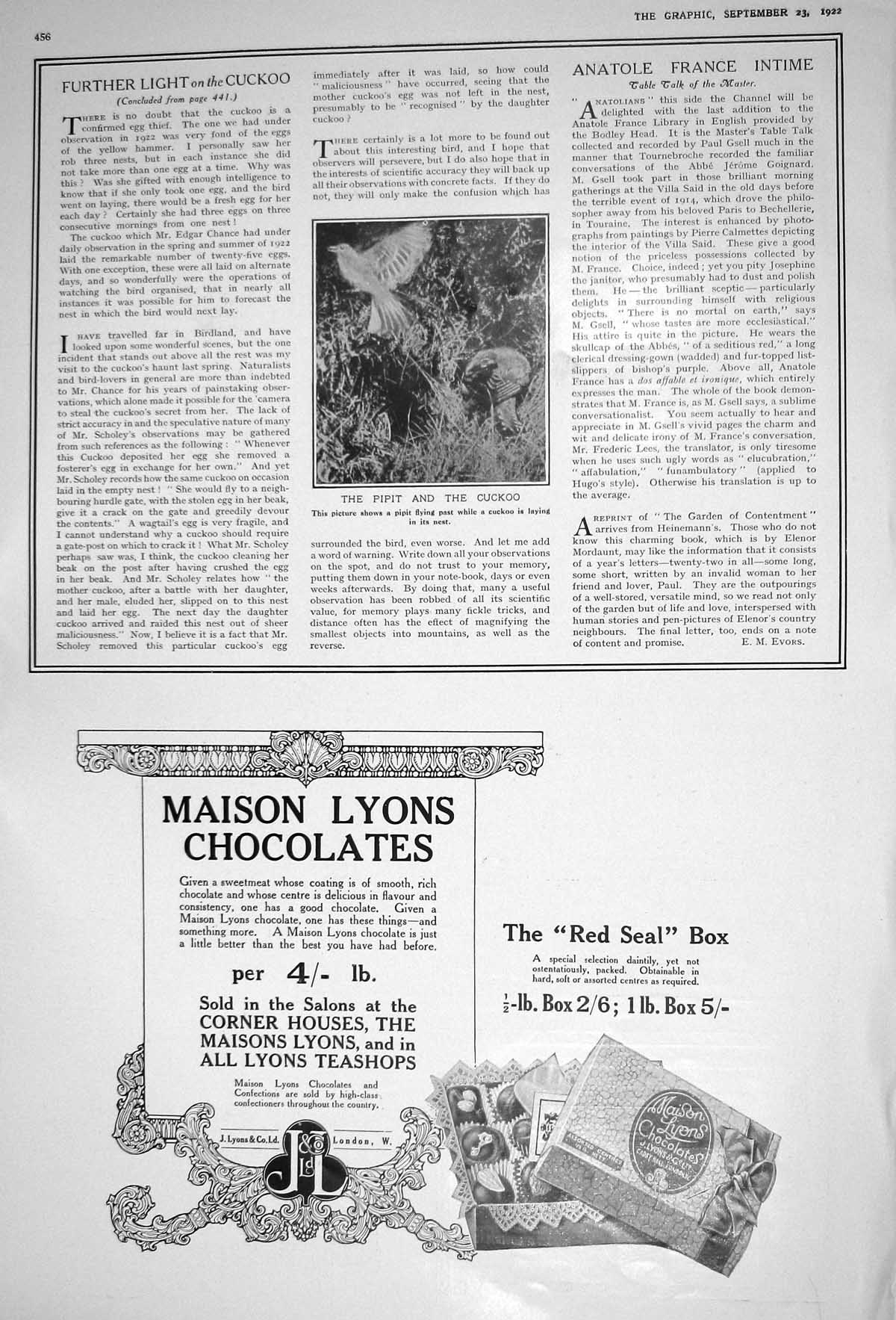 Old 1922 Pipit Cuckoo Birds Maison Lyon Chocolates Fur Store Vichy Sc 20th