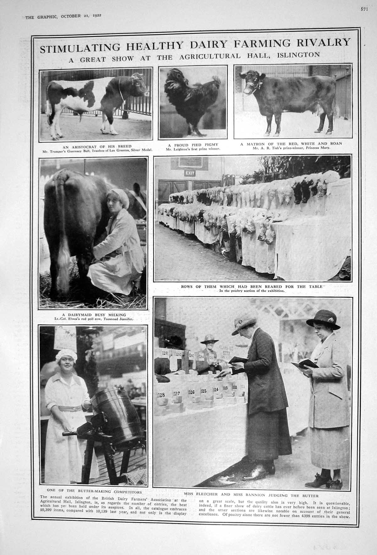 Old 1922 Dairy Farming Islington Fletcher Butter Bull Lord Halifax Jo 20th