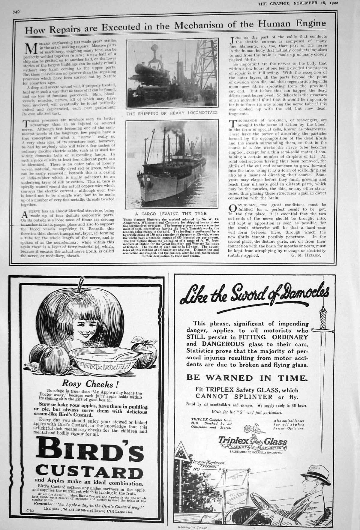 Old 1922 Shipping Train Cargo Bird'S Custard Triplex Glass Fashion Ve 20th