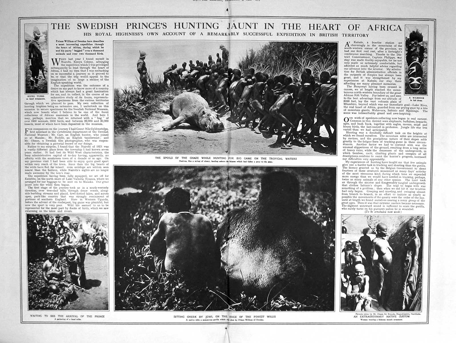 Old 1922 Swedish Prince Arrow-Shooting Pygmies Hippo Big Game Hunting 20th