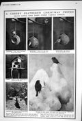 Old 1922 Christmas Robin Birds Blue Tits Winter Scene Thomas John Gib 20th