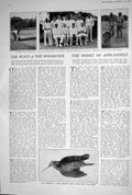 Old 1923 Woodcock Adrianople John Walker Scotch Whisky Distillers M.C 20th