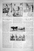 Old 1923 Ox-Drawn Mowing Machine M.C.C. South Africa James Buchanans 20th