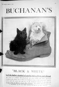 Old 1923 Buchanans Black White Whisky Scotch Malt James Little Dogs S 20th