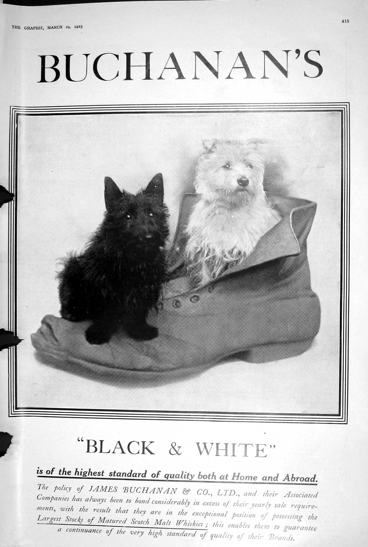 Old 1923 Buchanans Black White Whisky Scotch Malt James Little Dogs S 20th