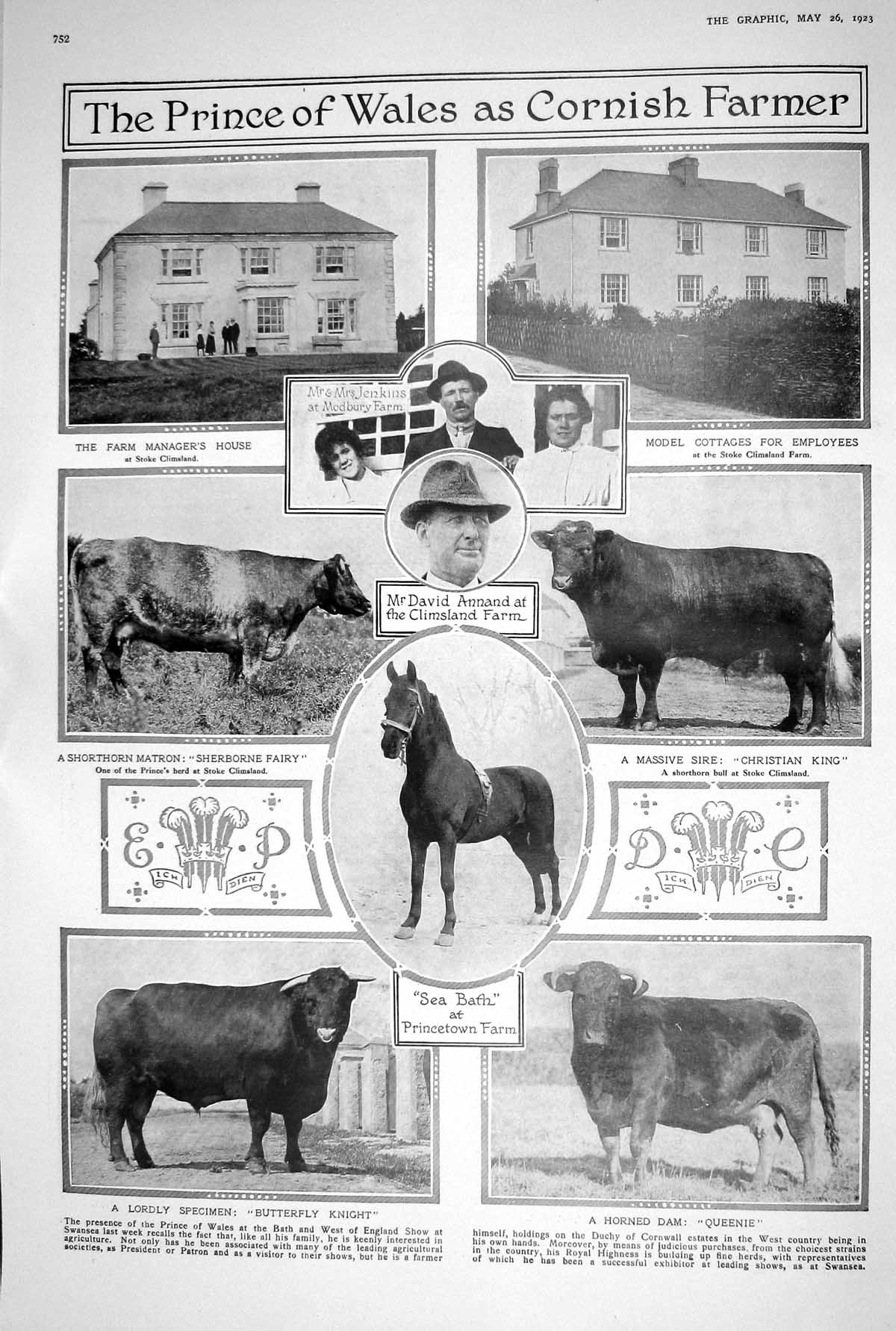 Old 1923 Horse Sire Horned Dam Lordly Specimen Prince Wales Farmer Ki 20th