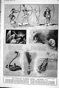Old 1923 Archery Ancient Sport Animals Humans James Milne George Cadb 20th