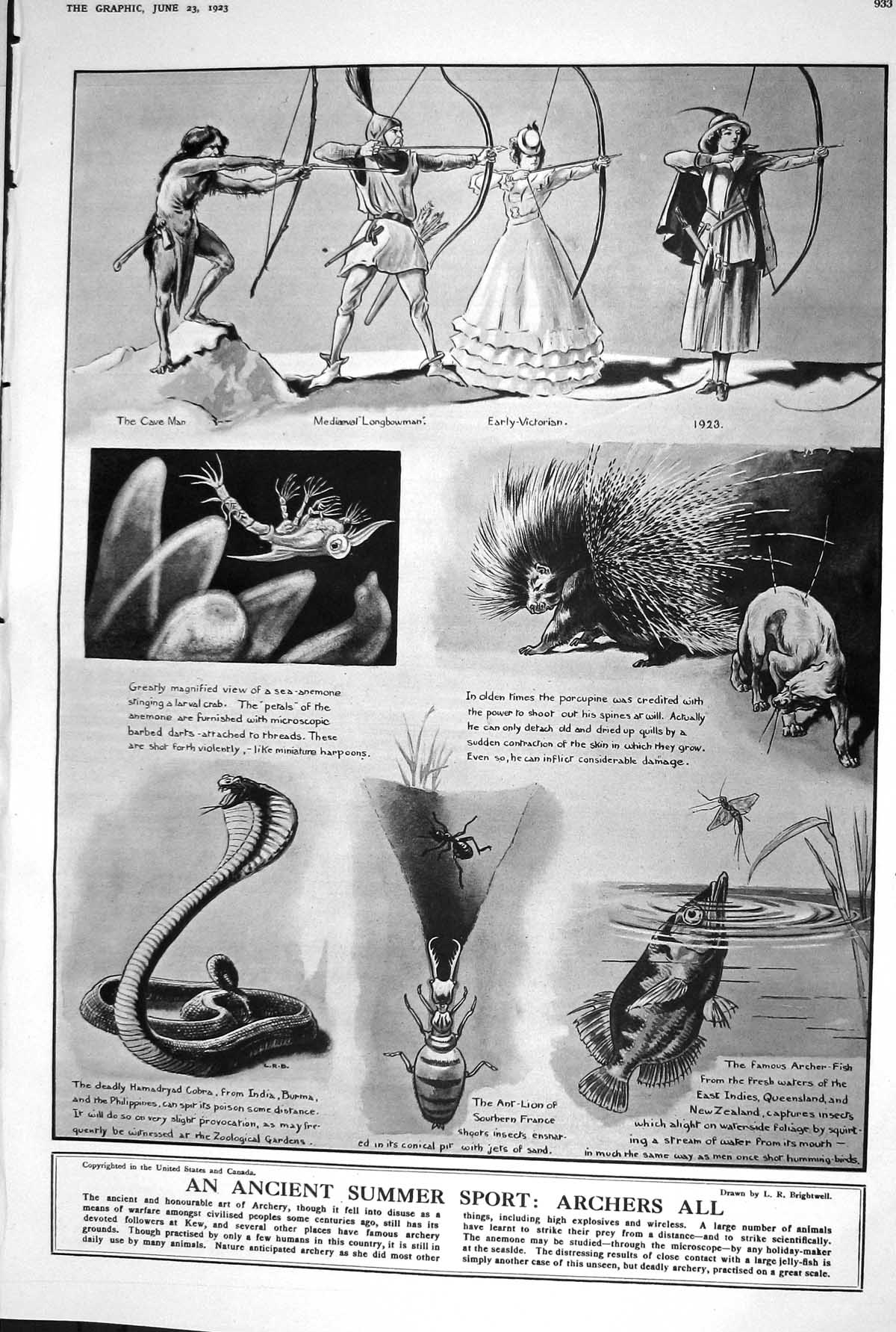 Old 1923 Archery Ancient Sport Animals Humans James Milne George Cadb 20th