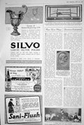 Old 1923 Advert Sani-Flush Vichy-Celestins Silvo Polish Sword Japanes 20th