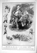 Old 1925 Olympia Circus Fair Elephant Stamps Greece Ascension Jamaica 20th