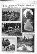 Old 1925 England Gardens Aldenham Carlham Hall Lily Rose Pool Aster F 20th
