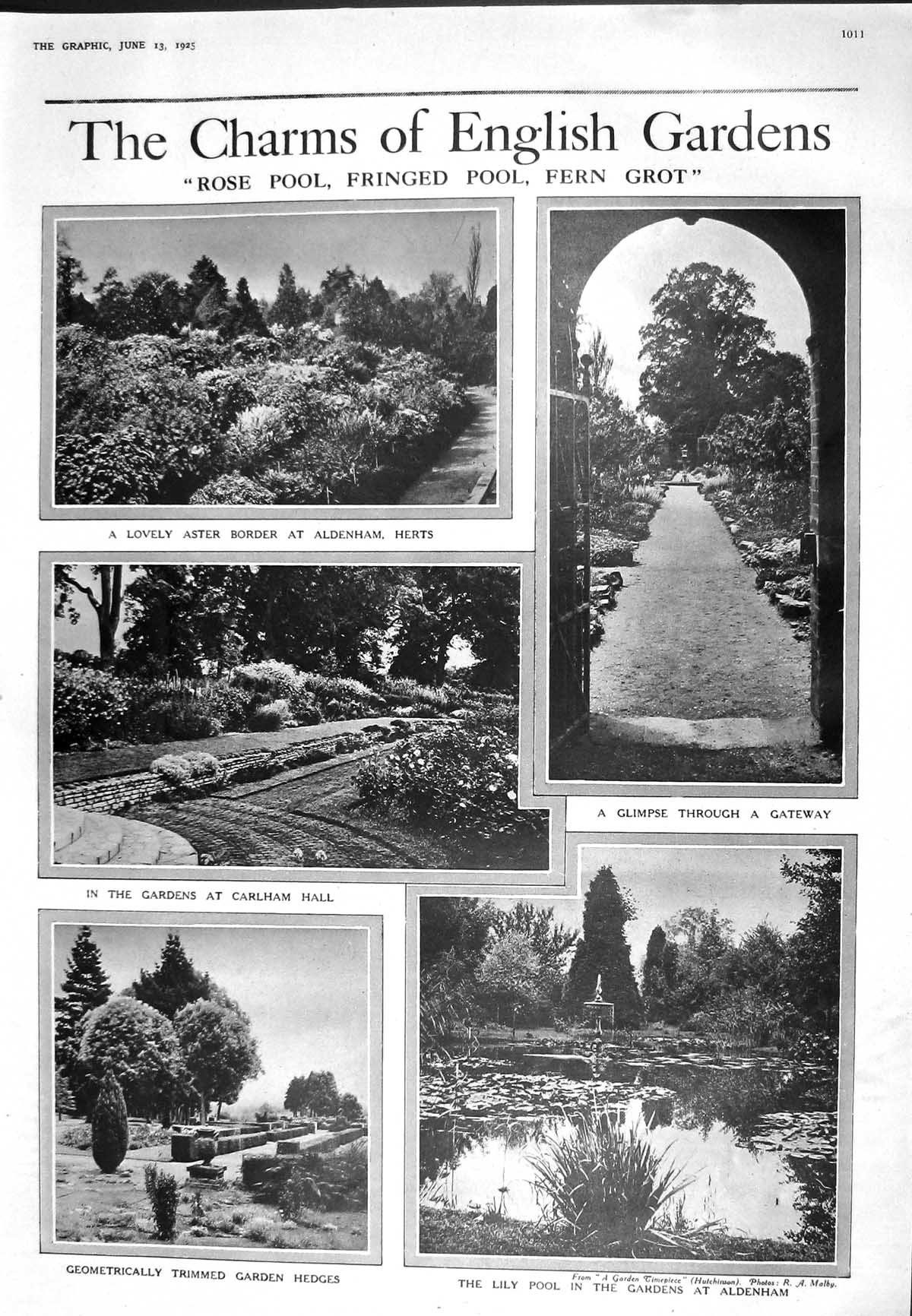 Old 1925 England Gardens Aldenham Carlham Hall Lily Rose Pool Aster F 20th