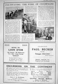 Old 1925 Cultivating Wine Champagne Advertisement Bengers Food Manche 20th