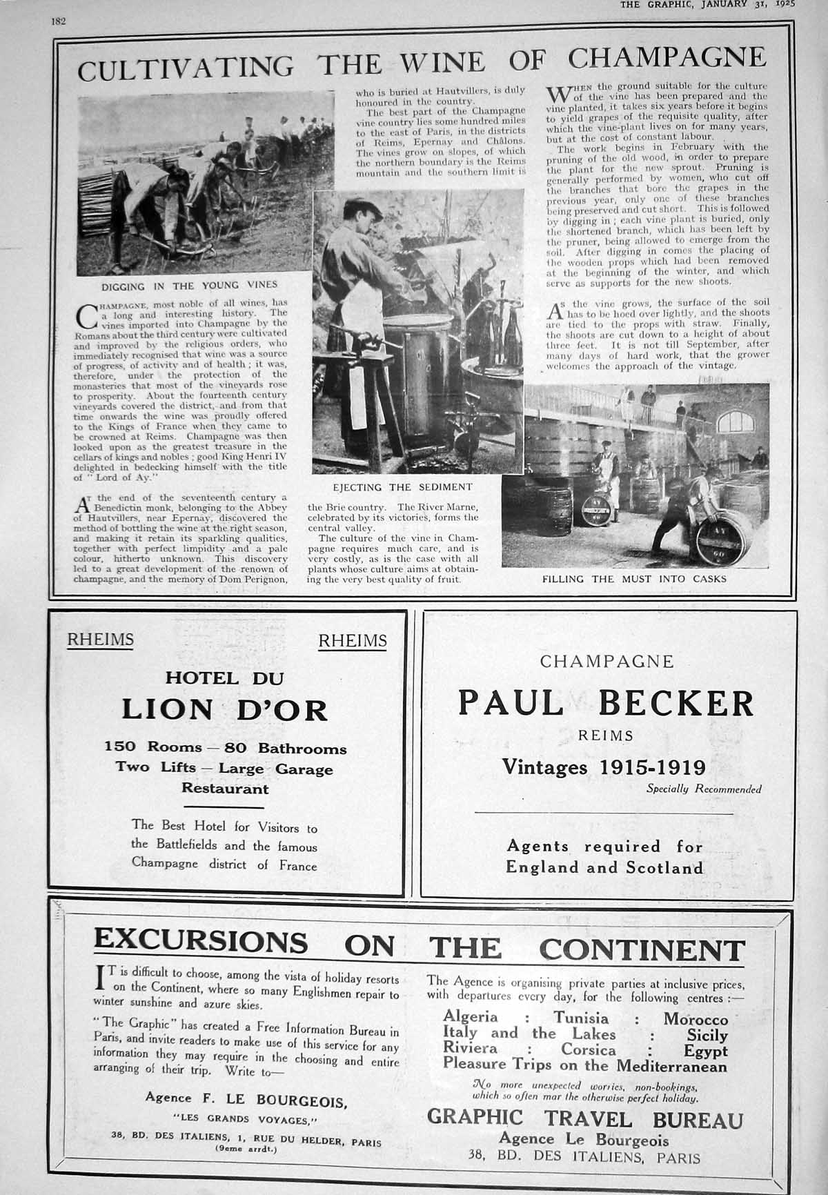 Old 1925 Cultivating Wine Champagne Advertisement Bengers Food Manche 20th