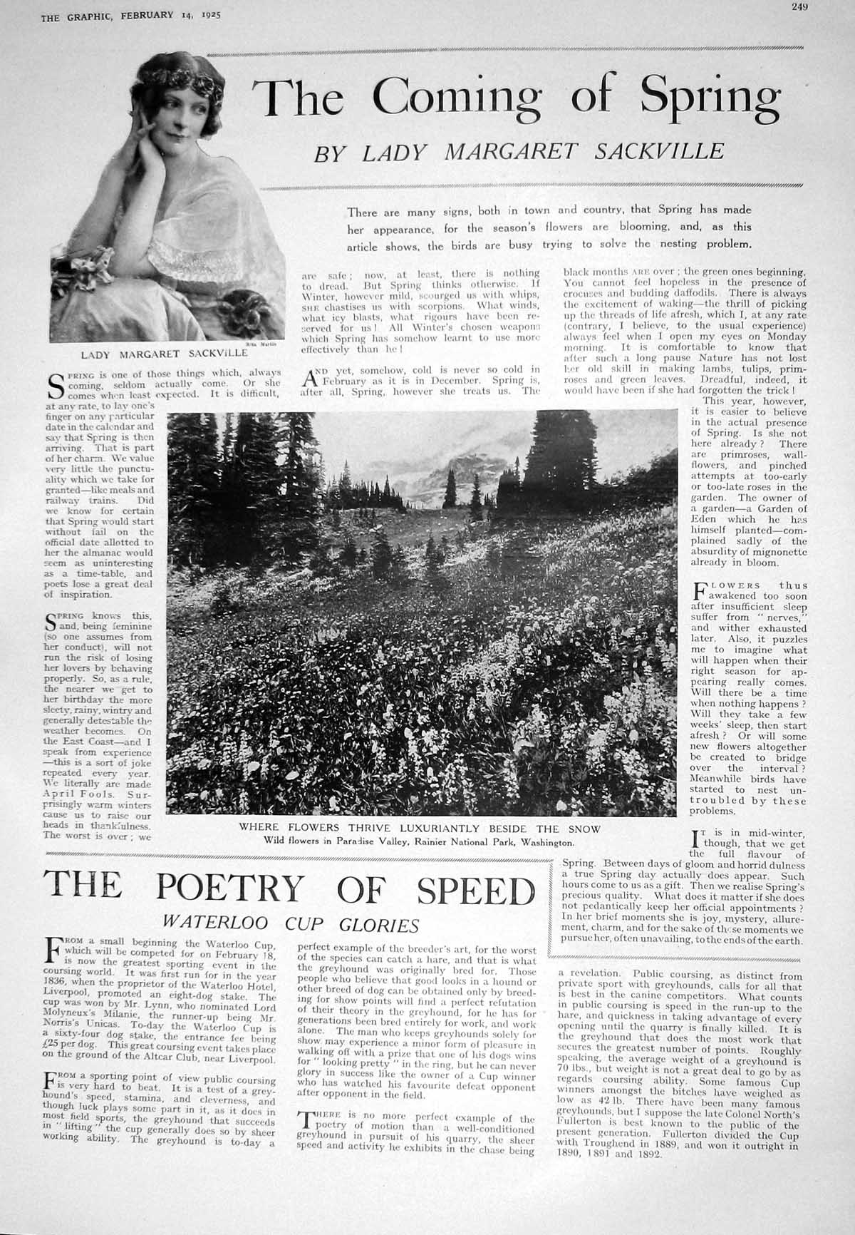 Old 1925 Margaret Sackville Flowers Paradise Washington Walrus Lady B 20th